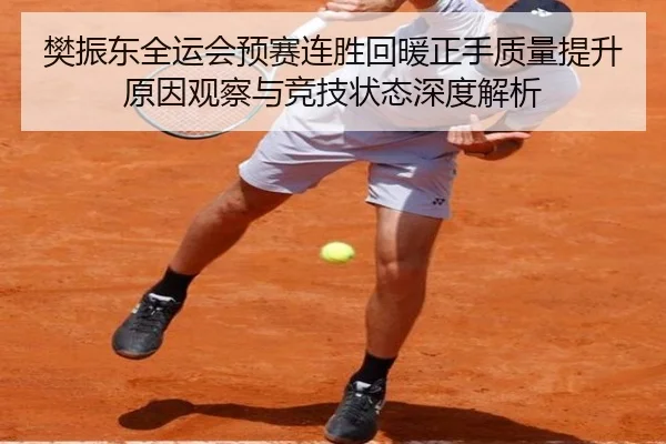 樊振东全运会预赛连胜回暖正手质量提升原因观察与竞技状态深度解析